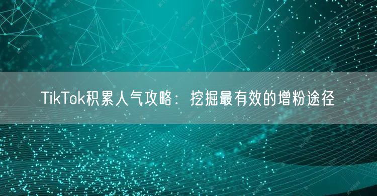 TikTok积累人气攻略：挖掘最有效的增粉途径