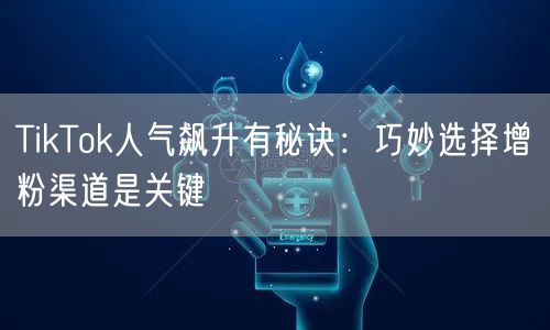 TikTok人气飙升有秘诀：巧妙选择增粉渠道是关键