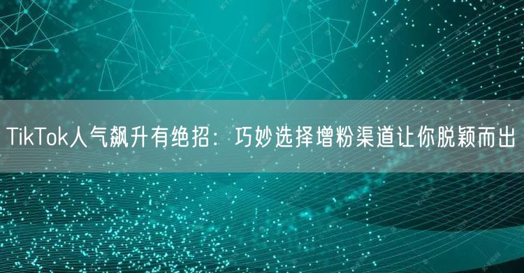 TikTok人气飙升有绝招：巧妙选择增粉渠道让你脱颖而出