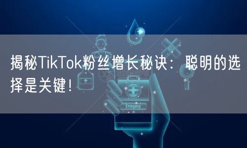 揭秘TikTok粉丝增长秘诀：聪明的选择是关键！