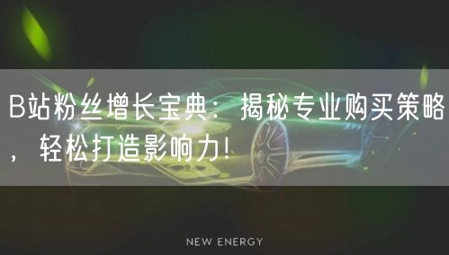 B站粉丝增长宝典：揭秘专业购买策略，轻松打造影响力！