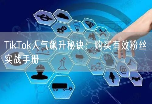 TikTok人气飙升秘诀：购买有效粉丝实战手册