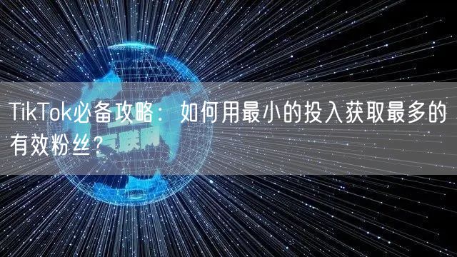TikTok必备攻略：如何用最小的投入获取最多的有效粉丝？