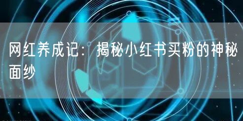 网红养成记：揭秘小红书买粉的神秘面纱