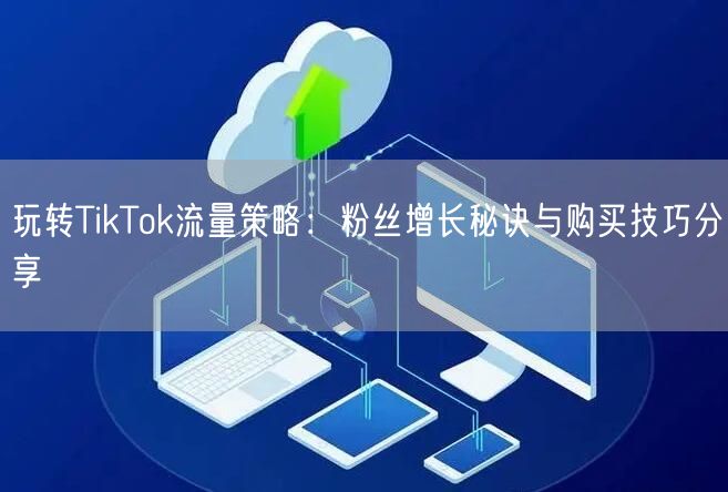 玩转TikTok流量策略：粉丝增长秘诀与购买技巧分享