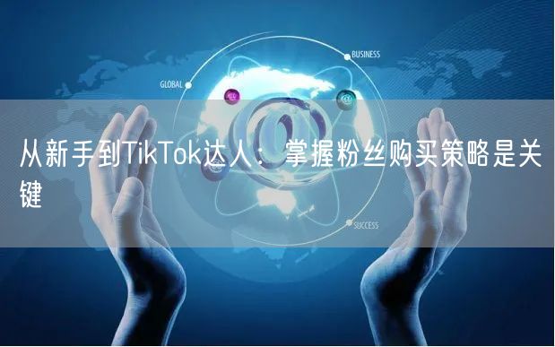 从新手到TikTok达人：掌握粉丝购买策略是关键