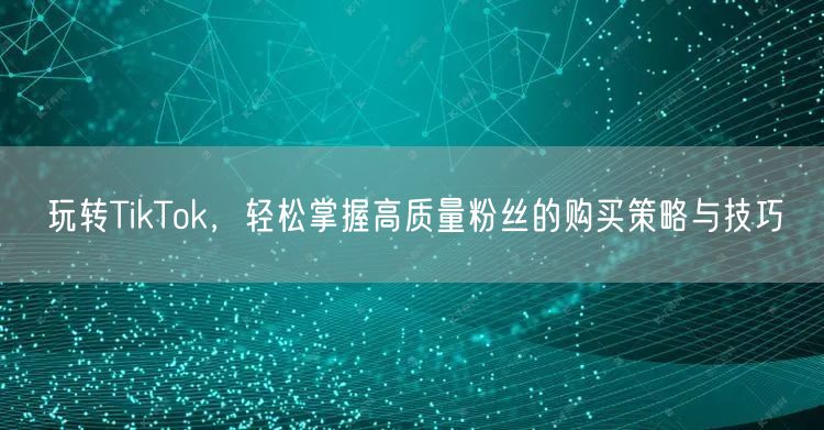 玩转TikTok，轻松掌握高质量粉丝的购买策略与技巧