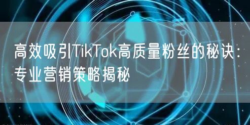 高效吸引TikTok高质量粉丝的秘诀：专业营销策略揭秘