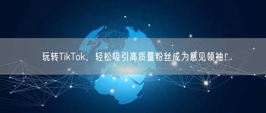 玩转TikTok，轻松吸引高质量粉丝成为意见领袖！
