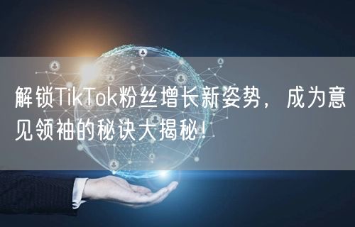 解锁TikTok粉丝增长新姿势，成为意见领袖的秘诀大揭秘！
