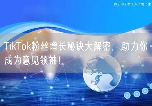 TikTok粉丝增长秘诀大解密，助力你成为意见领袖！