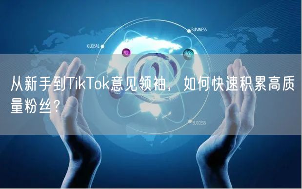 从新手到TikTok意见领袖，如何快速积累高质量粉丝？