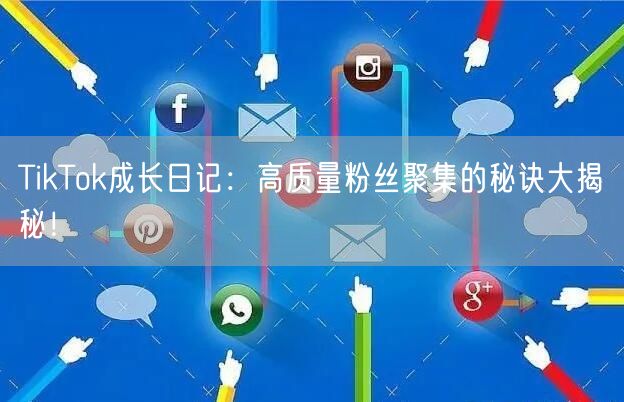 TikTok成长日记：高质量粉丝聚集的秘诀大揭秘！