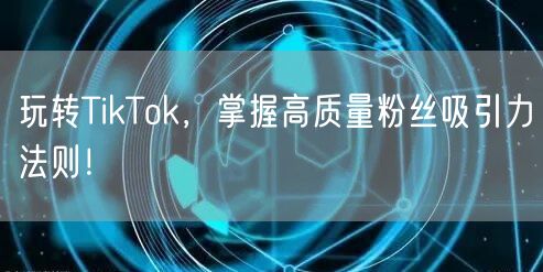 玩转TikTok，掌握高质量粉丝吸引力法则！