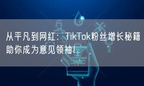 从平凡到网红：TikTok粉丝增长秘籍助你成为意见领袖！
