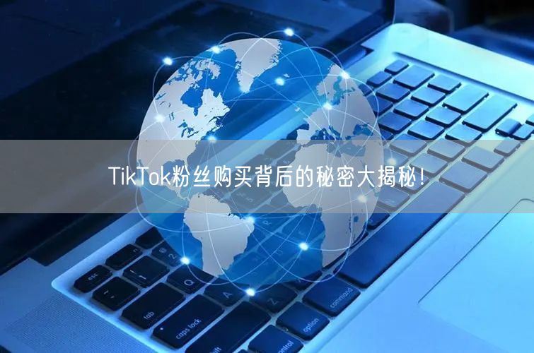 TikTok粉丝购买背后的秘密大揭秘！