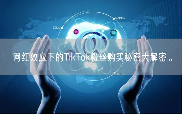 网红效应下的TikTok粉丝购买秘密大解密。