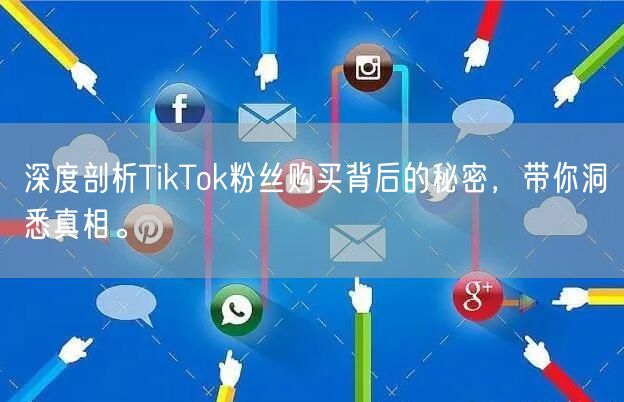 深度剖析TikTok粉丝购买背后的秘密，带你洞悉真相。