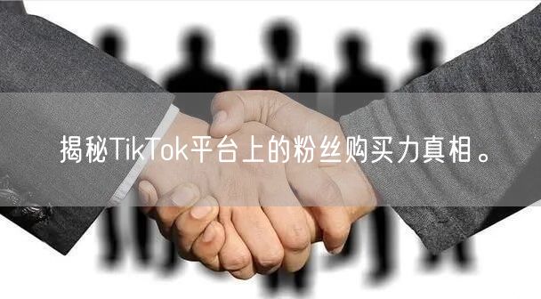 揭秘TikTok平台上的粉丝购买力真相。