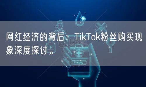 网红经济的背后：TikTok粉丝购买现象深度探讨。