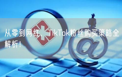 从零到网红，TikTok粉丝购买策略全解析！