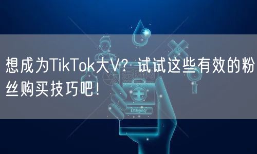 想成为TikTok大V？试试这些有效的粉丝购买技巧吧！