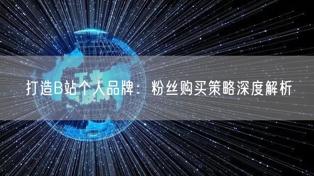 打造B站个人品牌：粉丝购买策略深度解析