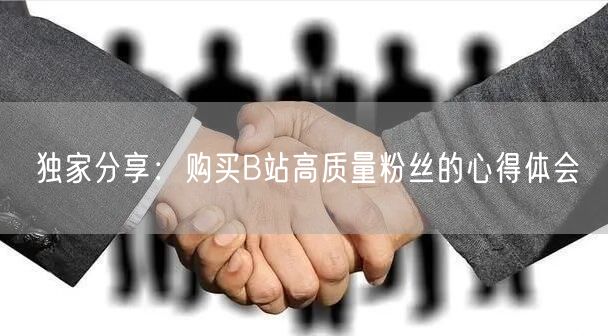 独家分享：购买B站高质量粉丝的心得体会