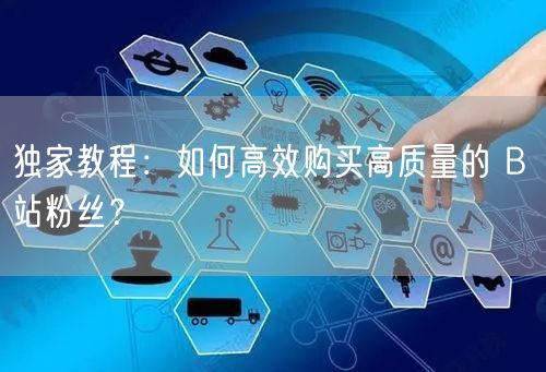 独家教程：如何高效购买高质量的 B 站粉丝？