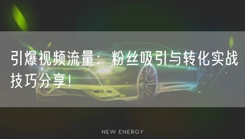 引爆视频流量：粉丝吸引与转化实战技巧分享！