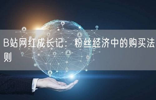 B站网红成长记：粉丝经济中的购买法则