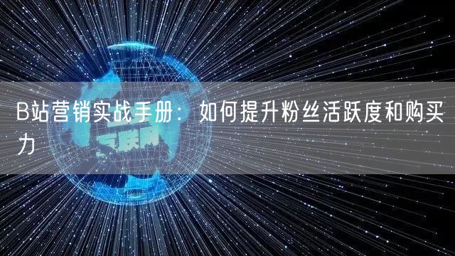 B站营销实战手册：如何提升粉丝活跃度和购买力