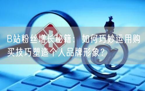 B站粉丝增长秘籍：如何巧妙运用购买技巧塑造个人品牌形象？