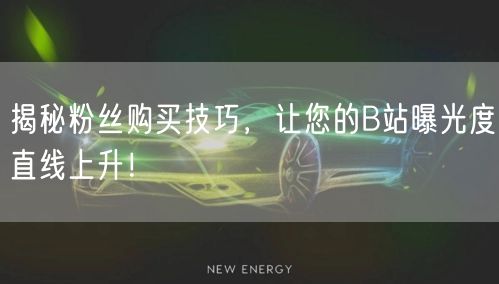 揭秘粉丝购买技巧，让您的B站曝光度直线上升！