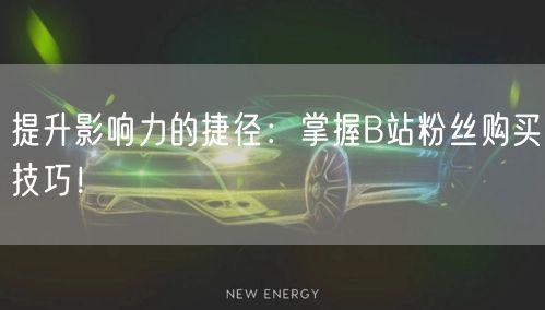 提升影响力的捷径：掌握B站粉丝购买技巧！