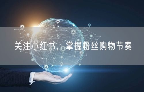 关注小红书，掌握粉丝购物节奏