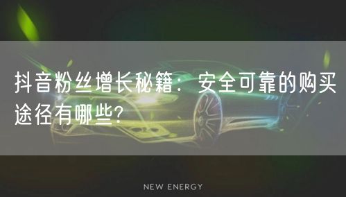 抖音粉丝增长秘籍：安全可靠的购买途径有哪些?