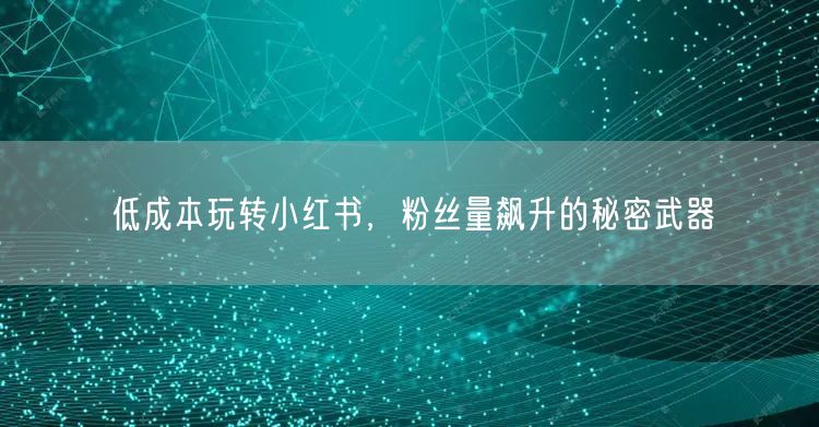低成本玩转小红书，粉丝量飙升的秘密武器