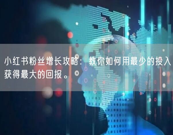 小红书粉丝增长攻略：教你如何用最少的投入获得最大的回报。