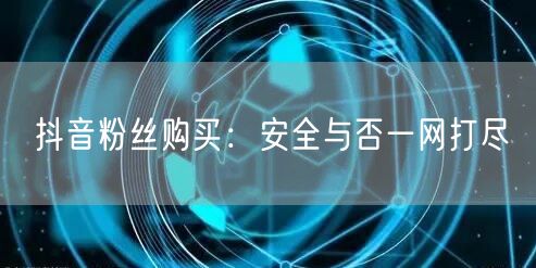 抖音粉丝购买：安全与否一网打尽