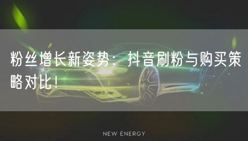 粉丝增长新姿势：抖音刷粉与购买策略对比！