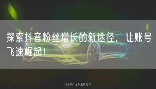 探索抖音粉丝增长的新途径，让账号飞速崛起！