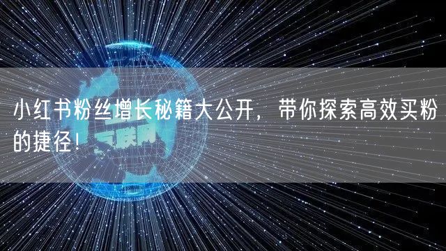 小红书粉丝增长秘籍大公开，带你探索高效买粉的捷径！