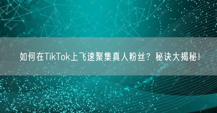 如何在TikTok上飞速聚集真人粉丝？秘诀大揭秘！