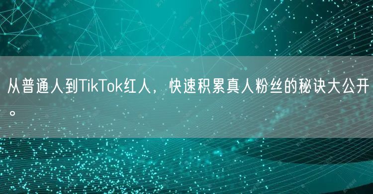 从普通人到TikTok红人，快速积累真人粉丝的秘诀大公开。