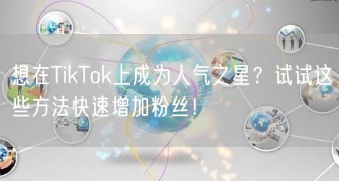 想在TikTok上成为人气之星？试试这些方法快速增加粉丝！